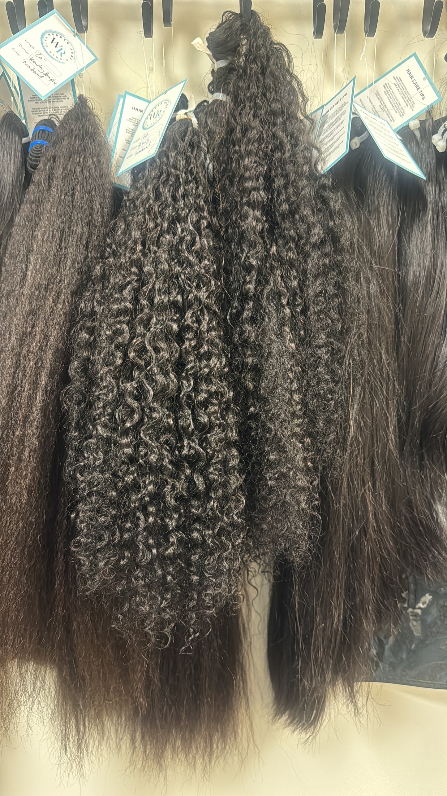 Bermese curly