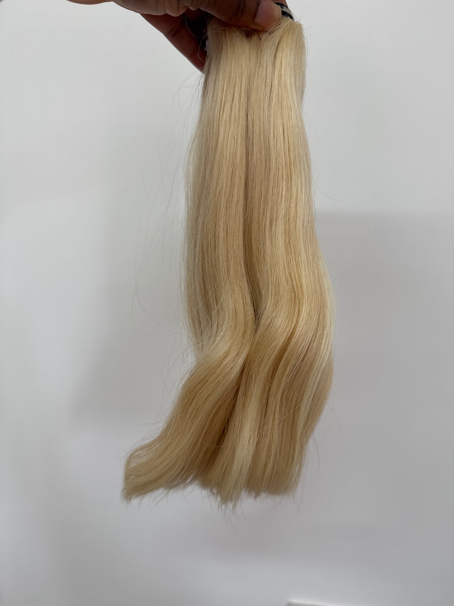 613 Vietnamese straight bundles 12” Double Drawn