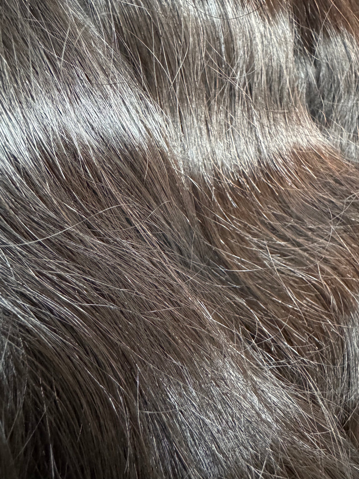 Raw Indonesian hair